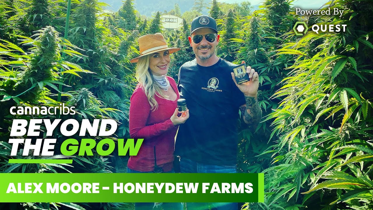 Humboldt Legacy Grower Honeydew Farms: Built to Last