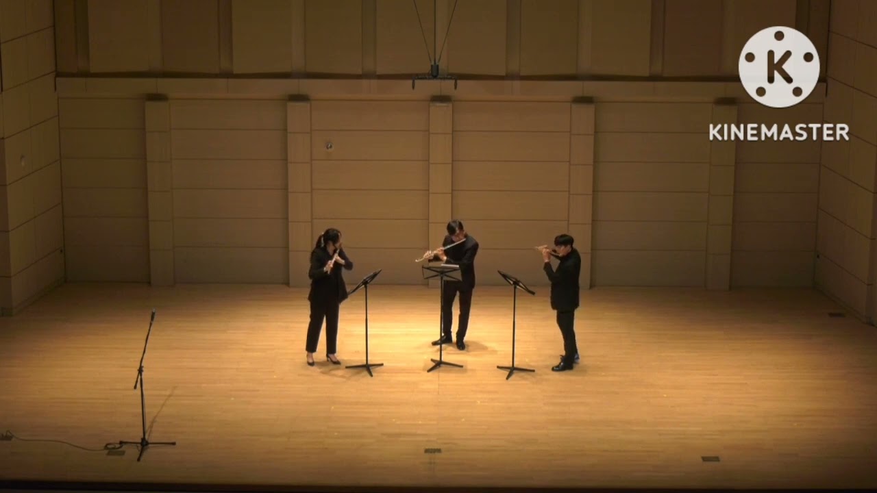 Laszlo Zempleni Trio for Flutes