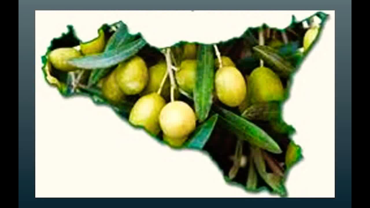 OLIO EVO BIOLOGICO - MAZZARESE - Le fasi di produzione.