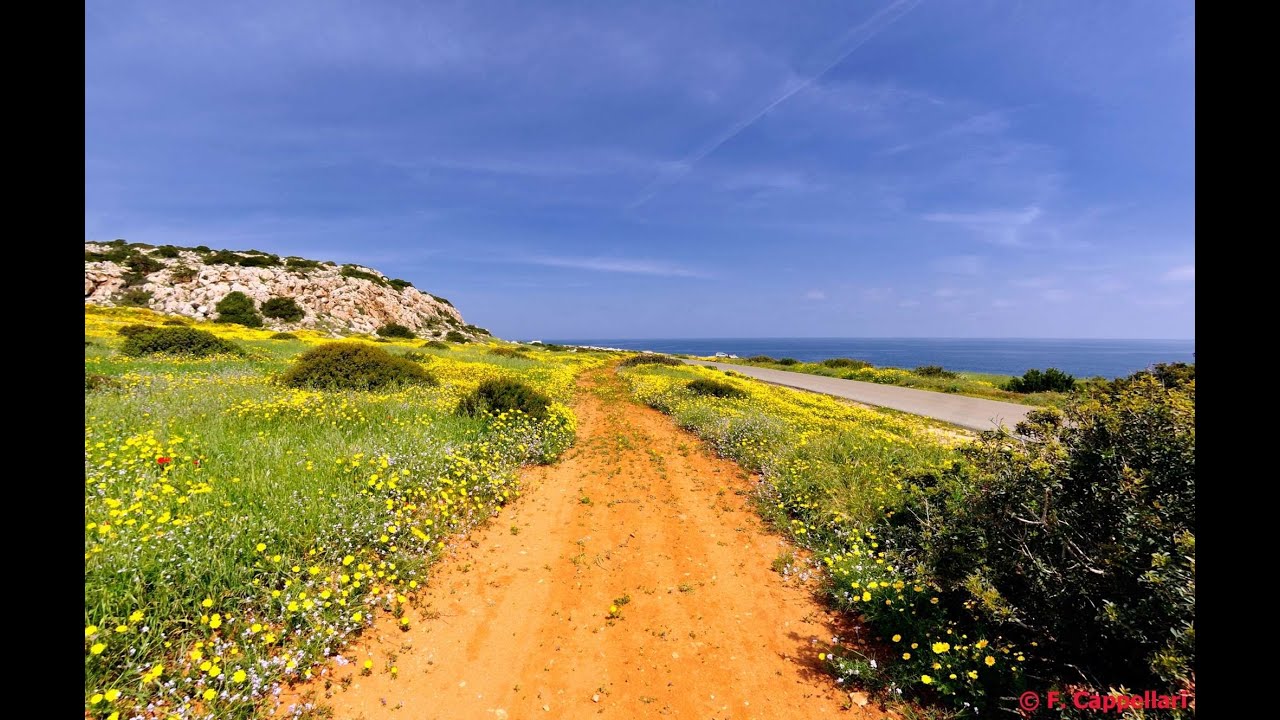 Secrets of the Eastern Mediterranean  - Visit Europe