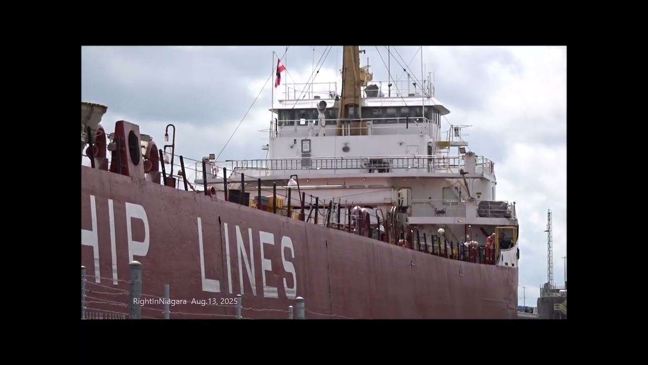Ships FRONTENAC and CSL ST  LAURENT meet at Lock 6, Welland Canal (2025)