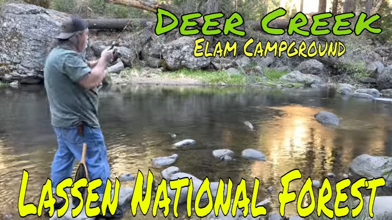 Lassen National forest: Trout Fishing Deer Creek, Camping at Elam Campground. #californiacamping