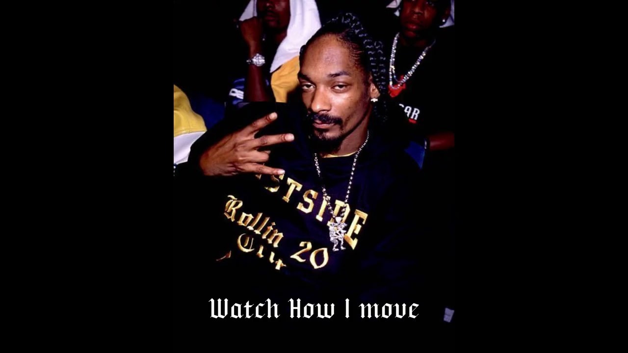 Snoop Dogg x Pfacebaby Type Beat 2025 – West Coast G-Funk - 