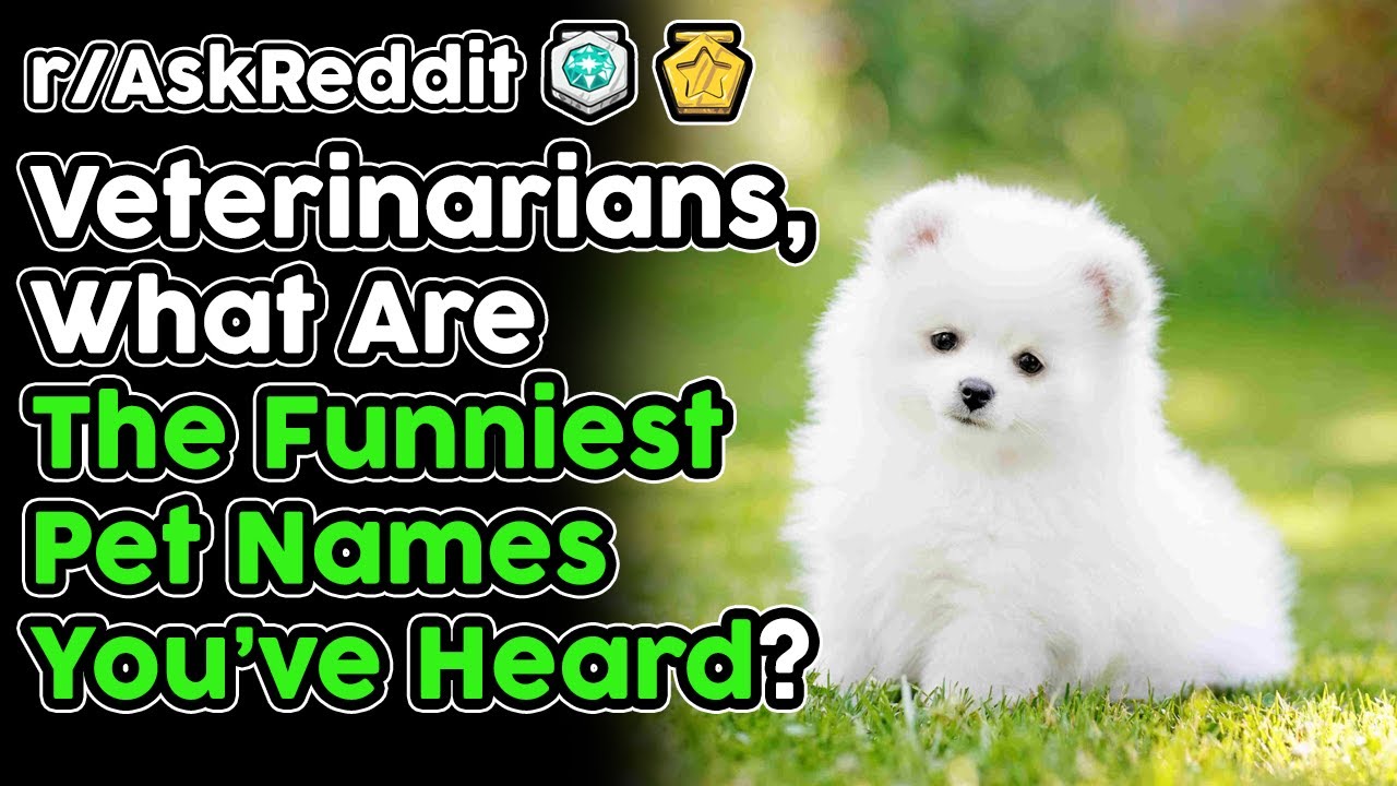 Veterinarians Share The Funniest Pet Names They've Heard (r/AskReddit Top Stories)