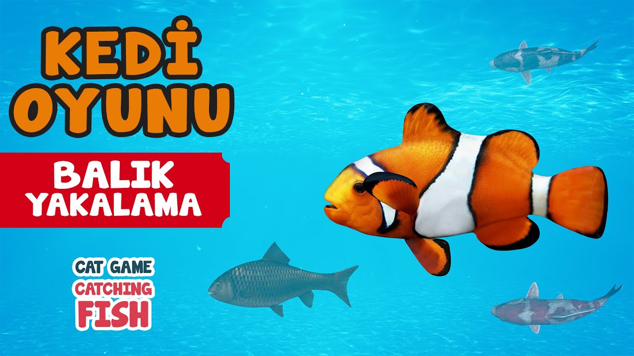 Kedi Oyunu 12 - BALIK YAKALAMA | Kedilerin İzlemesi İ&ccedil;in S&uuml;per Balık Yakalama Videosu 😻