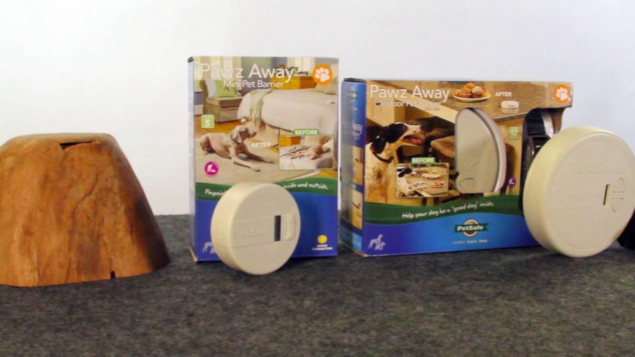 Keep Your Pet Off Furniture, Out of the Landscaping and More