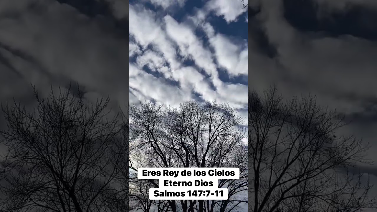 Se complace Jehova  en  los que le temen…..