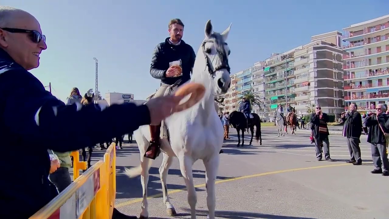 SANT ANTONI BURRIANA 2024