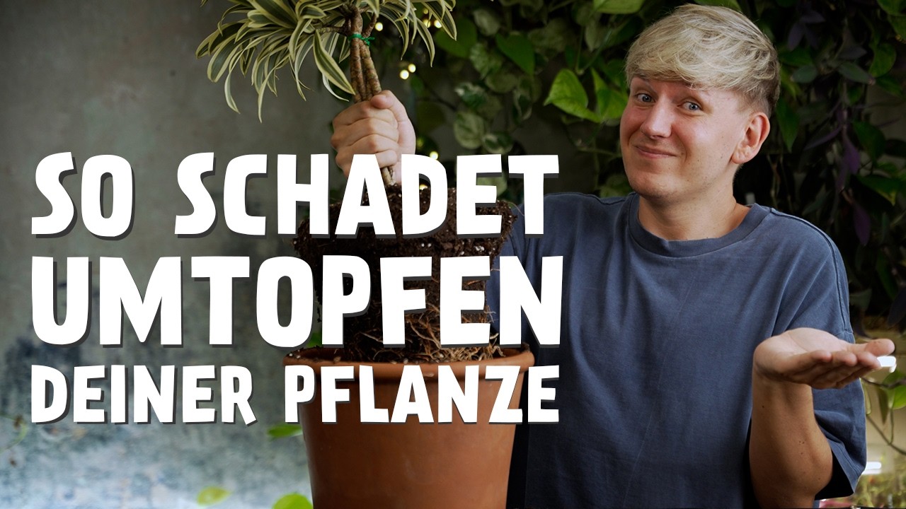 11 FATALE Gründe, warum deine Zimmerpflanze nach dem Umtopfen EINGEHT