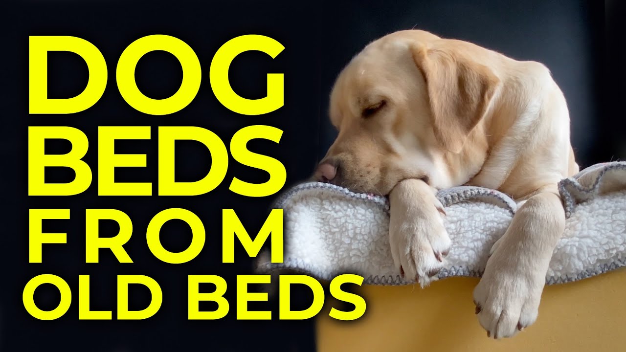 How to Make A Dog Bed Recycling a Foam Mattress - DIY Dog Bed for Large Dog No Sew