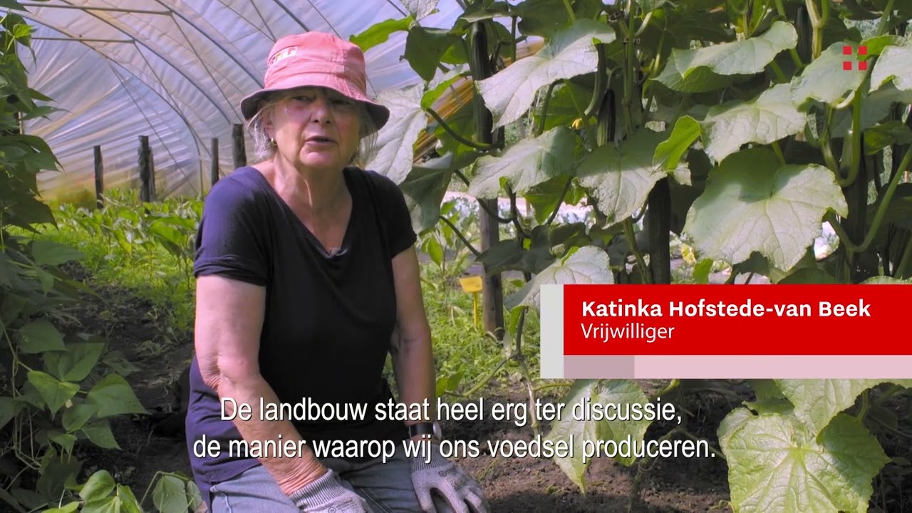 Tuinderij Eyckenstein – Maartensdijk
