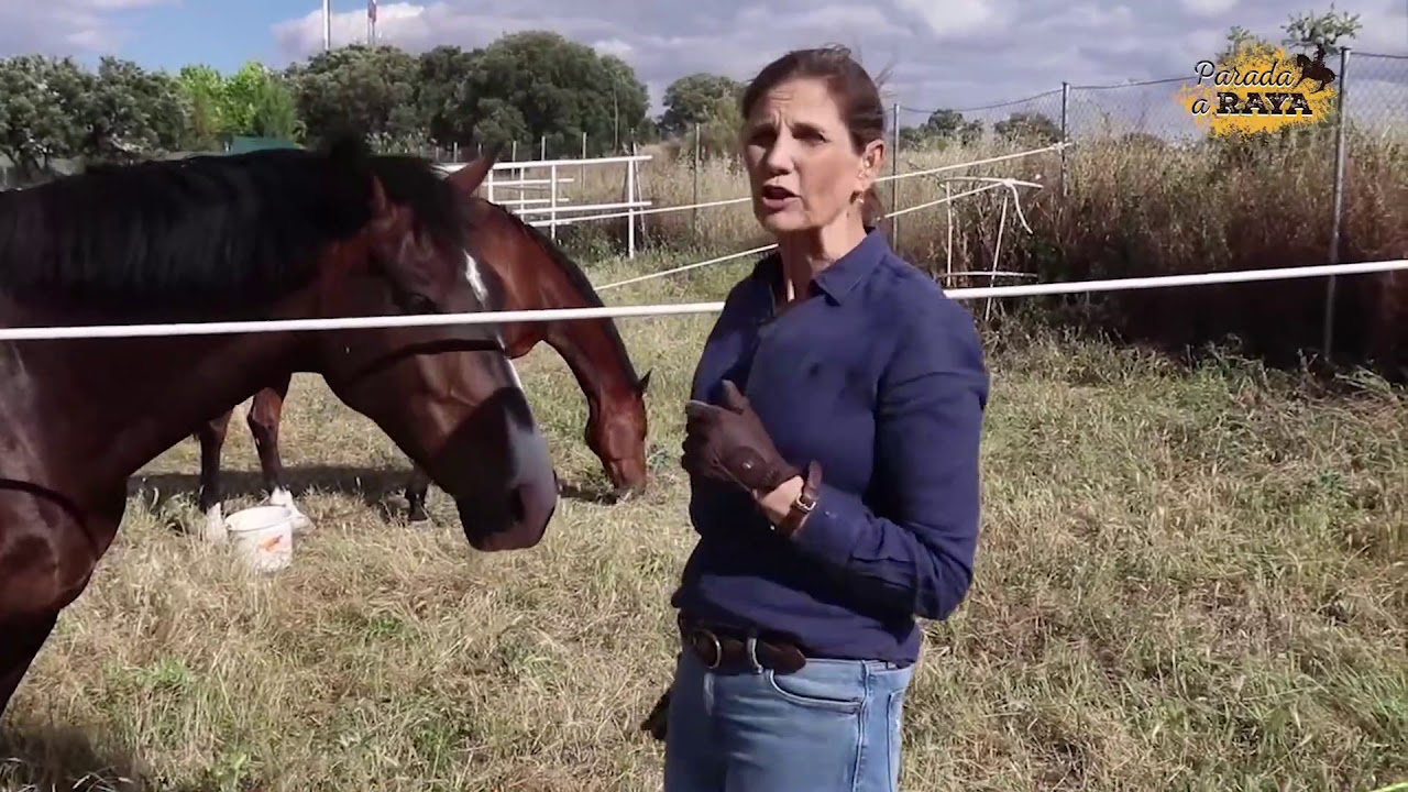 Cómo optimizar las parcelas de pasto o paddocks