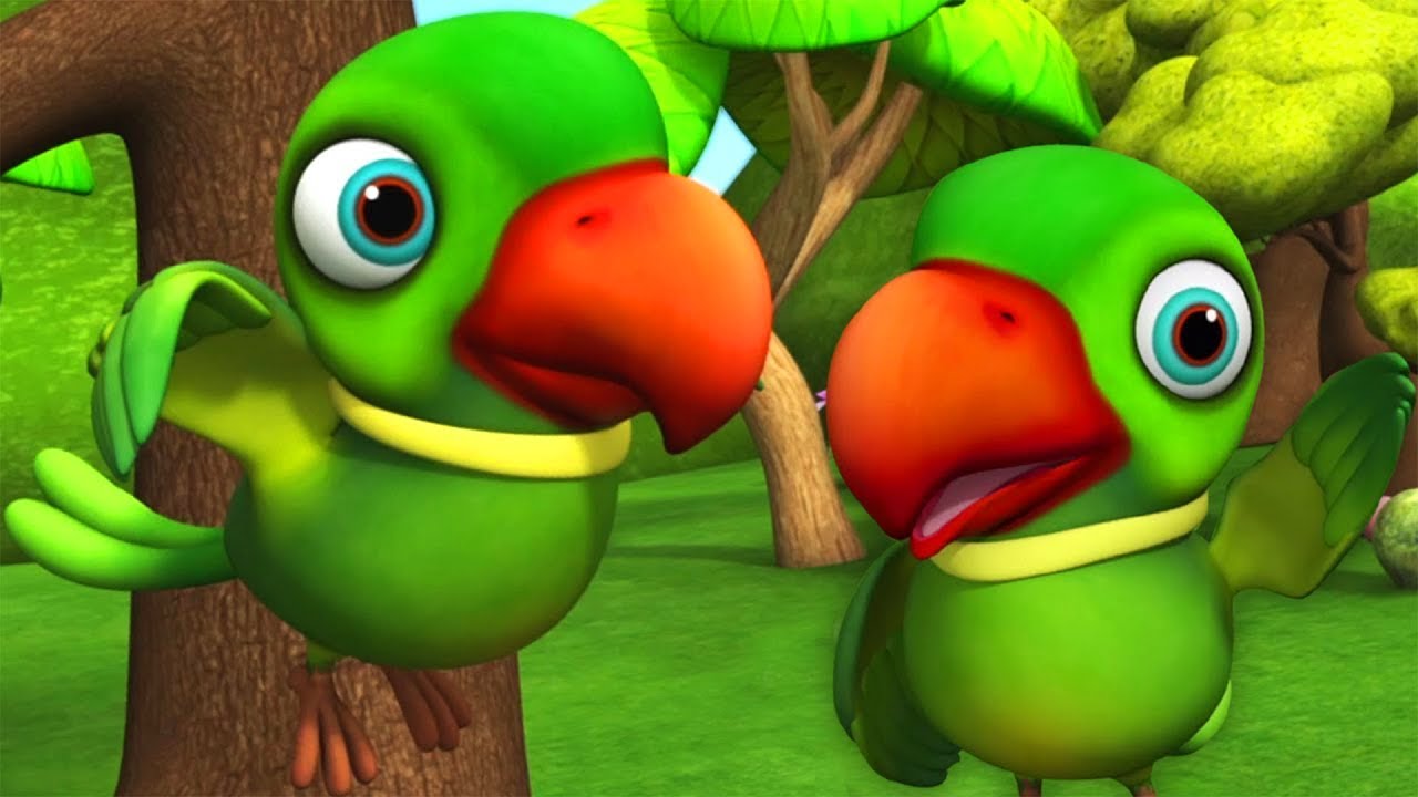 मिट्ठू मिट्ठू 🦜 मैं तोता 🦜 मैं तोता 🦜 #parrot #trending #talkingparrot #viralvideo