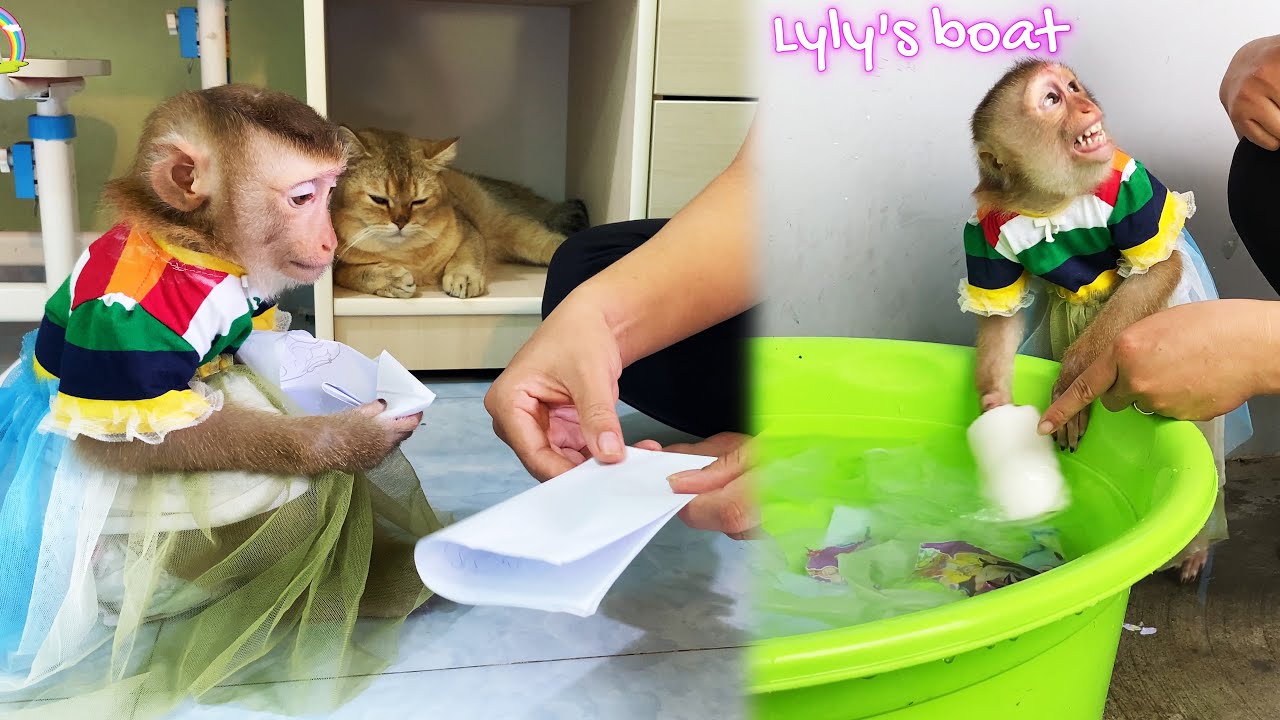 How naughty! Monkey LyLy plays with toilet paper and apologizes for making her mother angry