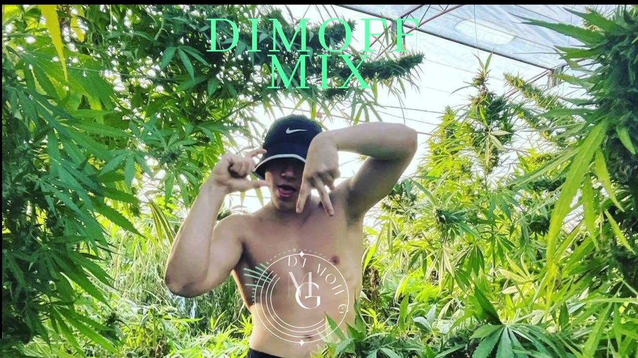 DIMOFF-MIX