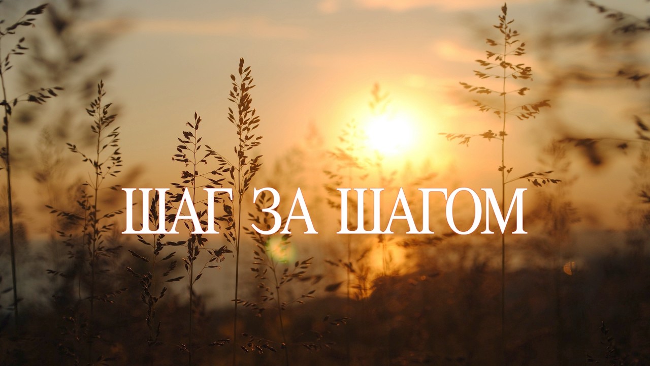 SokolovBrothers / Шаг за шагом
