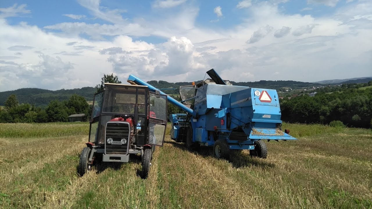 Pierwszy wjazd w pszenice 2018!! / MF 255 & BIZON SAMPO 2020