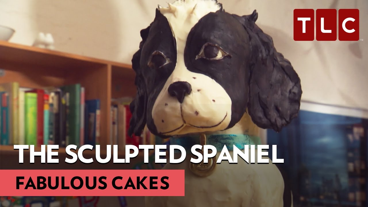 The Sculpted Spaniel | Fabulous Cakes | Sweet AF Wednesdays