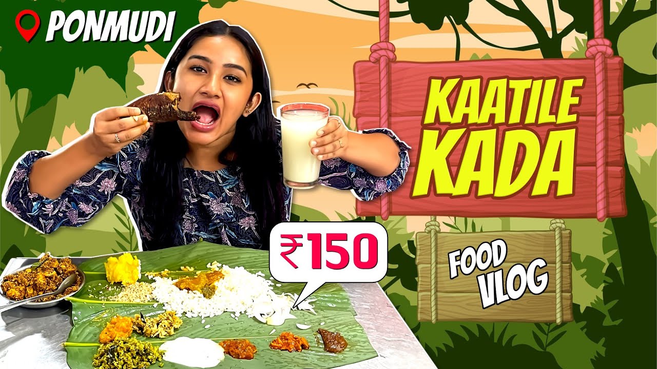 Kerala Fish Meals Review 🤤 | Forest Hotel | കാട്ടിലെ കട  | Raveena Daha