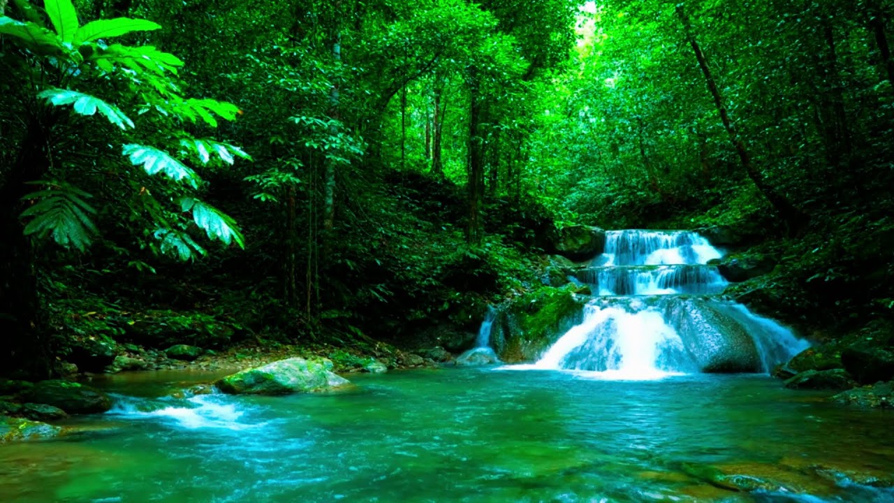 САМЫЙ ОПАСНЫЙ ЗВУК ДЛЯ БЕССОННИЦЫ 💧 Четыре мощных водопада