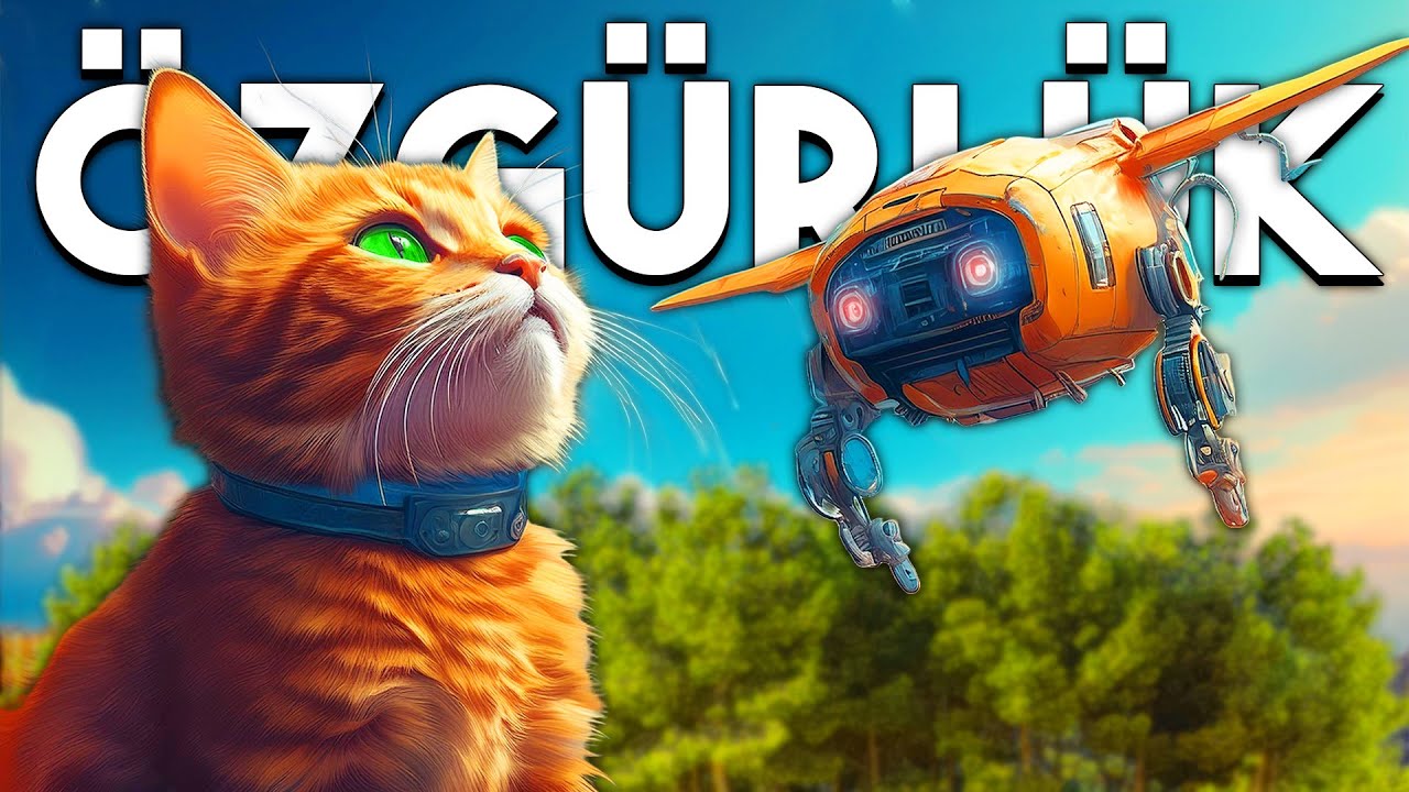 KEDİ OLUP ÖZGÜRLÜĞE KOŞTUM! 😿