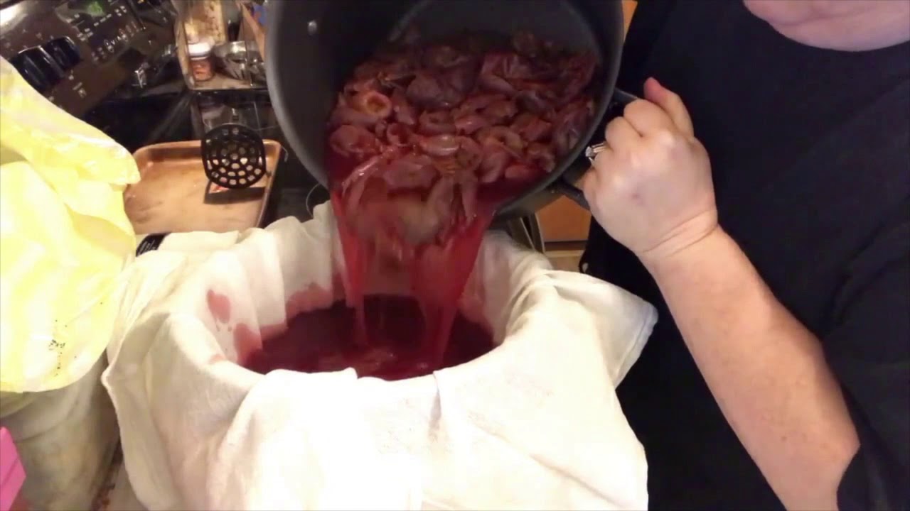 HOW TO MAKE PRICKLY PEAR JELLY