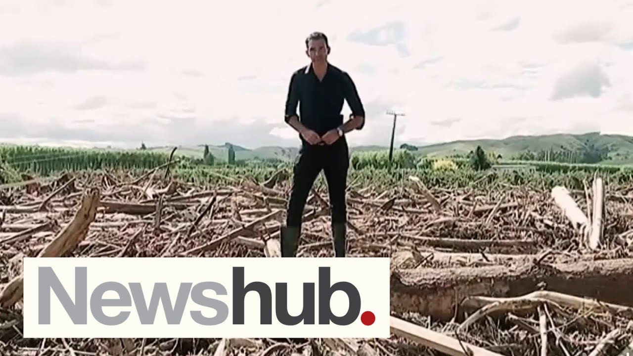 'Want him to understand': Puketapu local calls for PM to visit flood, slash stricken area | Newshub