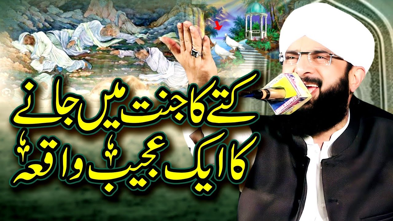 Ashab e Kahf Ka Kutta Jannat Mein Kyun Jaye Ga Imran Aasi 2024.By Hafiz Imran Aasi Official 1