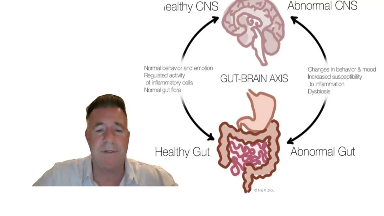 Brain Injuries & Leaky Gut: Why You May Have a Leaky Brain
