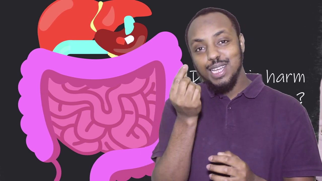 Ma ogtahay in bakteeriyada ku jirta caloshada ay qayb katahay dheefshiidka, soo sarida vitamins