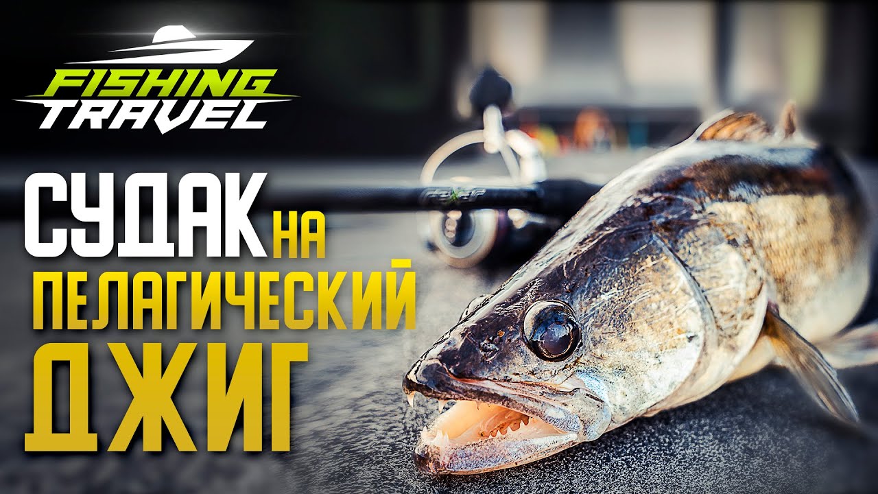 Судак на 6.8