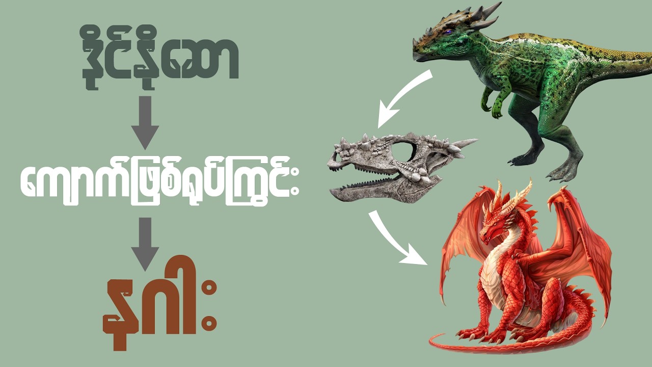 တကယ်မရှိတဲ့ နဂါးတွေကို တကမ္ဘာလုံးက ဘာလို့ ယုံနေကြတာလဲ