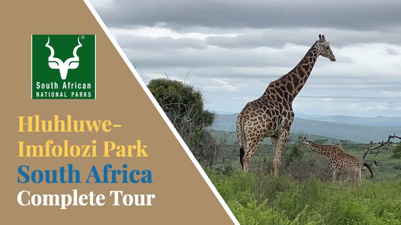 South Africa - Hluhluwe-Imfolozi Park - Complete Tour