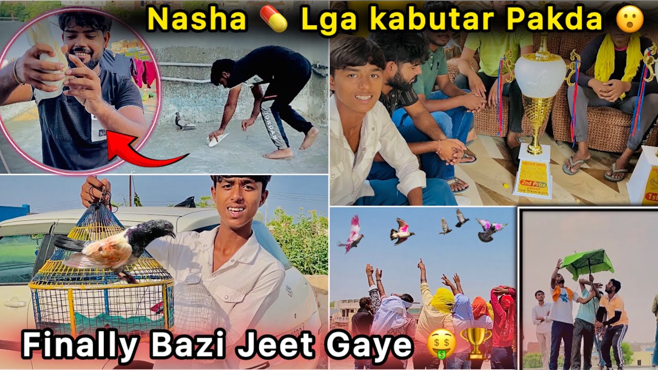 Finally 🤑 Bazi Jeet Gaye 🕊️ || Drug 💉 Lga hua kabutar Pakda 😮 || Pigeon Tournament 🏆