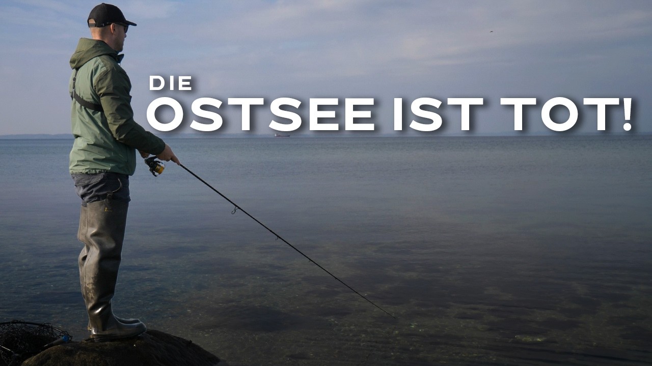3 Würfe - 3 Forellen 😲  Wir angeln auf Meerforelle in Dänemark!