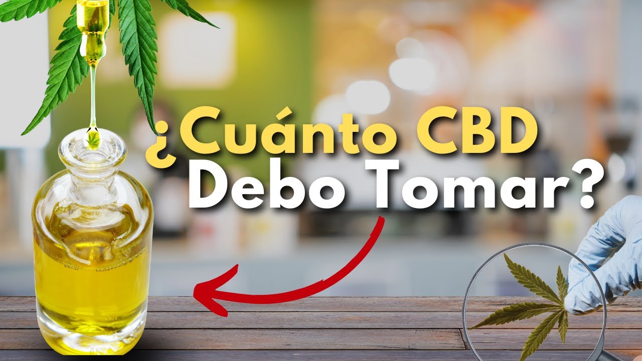&iquest;CUANTAS GOTAS de ACEITE de CBD debo UTILIZAR? GU&Iacute;A Paso a Paso