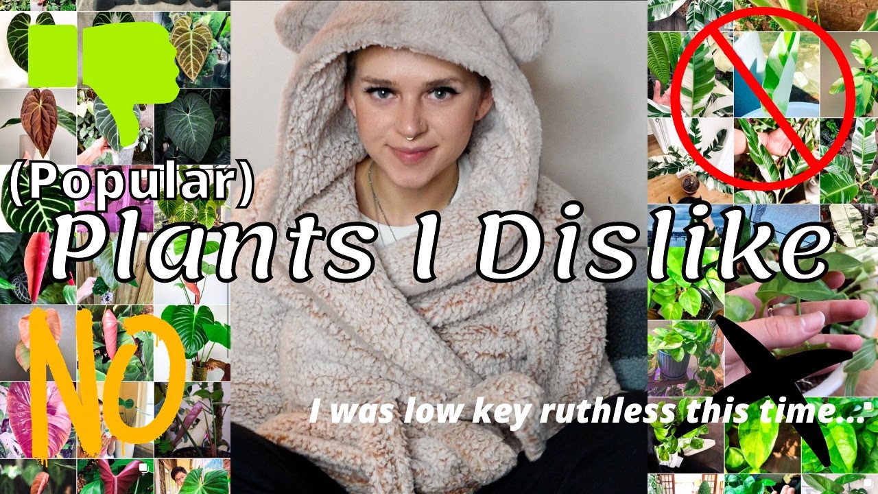 Popular Plants That I Don't Like ☕️