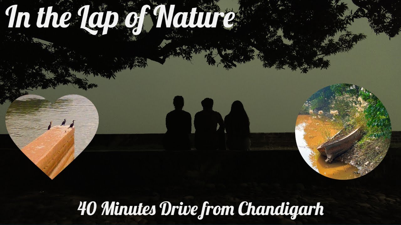 Ropar Head Works - House of Migratory Birds | Ep - 6 | Chandigarh | #snowmancreations