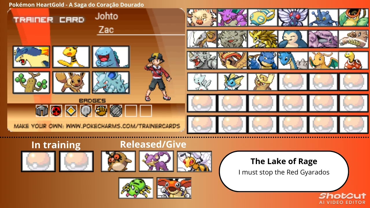My Pokémon team (as a character from the series) Part 3: HeartGold Saga - trainer card