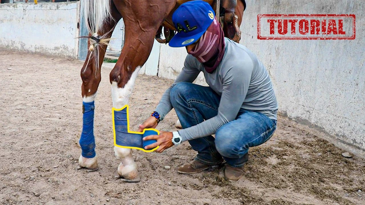 COMO PONER VENDAS A TU CABALLO
