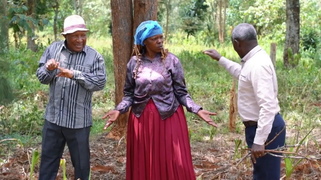 WANDAHUHU, WARIGIA  NA KAGURE BEST OF LAST WEEK 😅😅😅. kikuyu best comedy and drama.