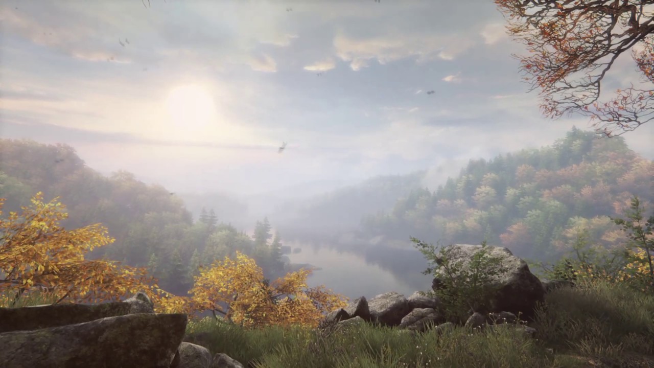In-Game Ambience: The Vanishing of Ethan Carter - Sunny Day