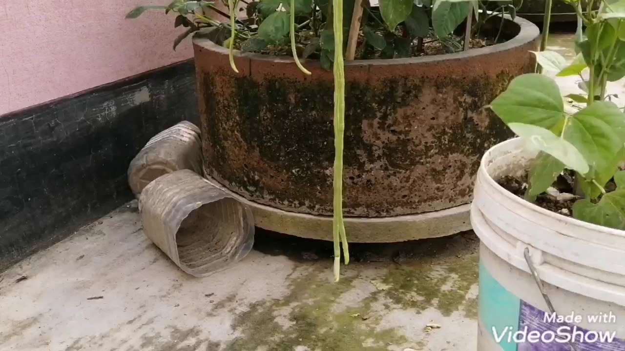 My mama's rope top garden 2 part