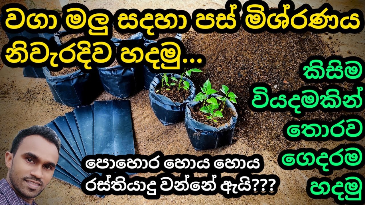 How to make soil mixture | බඳුන්ගත වගාව සදහා &zwnj;පස් මිශ්රණය සාදා ගැනීම | grow bag soil mixture