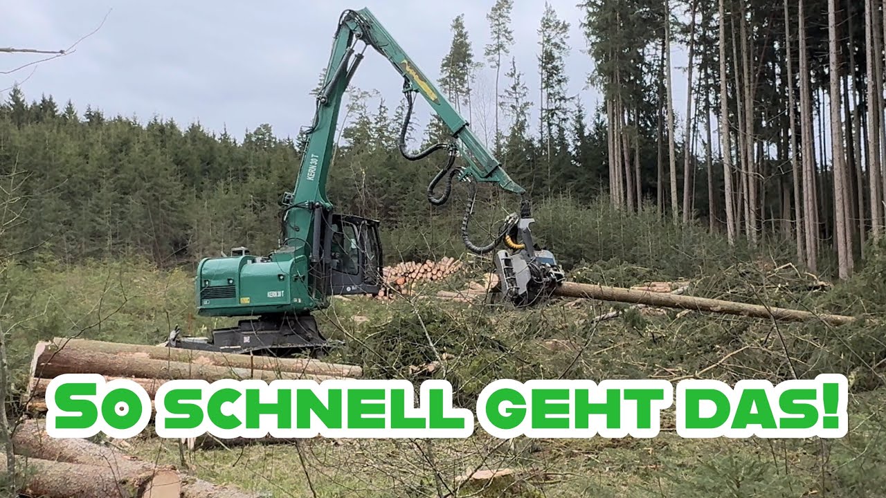 Gigantische Power im Wald! Kern 30T verarbeitet massive Baumst&auml;mme
