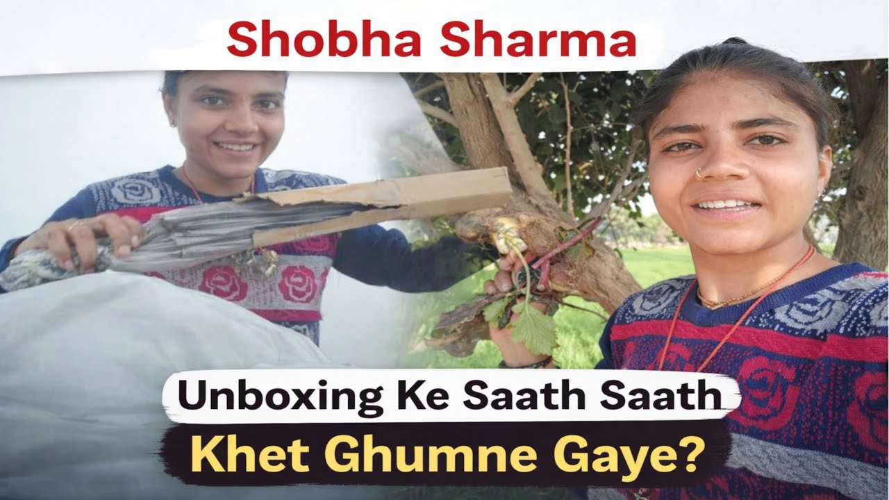 Is Box Mein Aakhir Kya Tha? 📦😲 | Khet Vlog | Family Time @SHOBHA2206 
