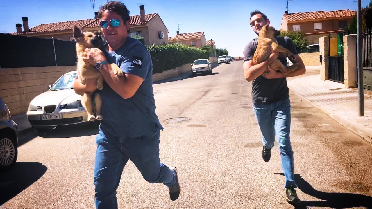 LIBERAMOS A DOS PERRITOS APALEADOS y SALIMOS CORRIENDO CON ELLOS
