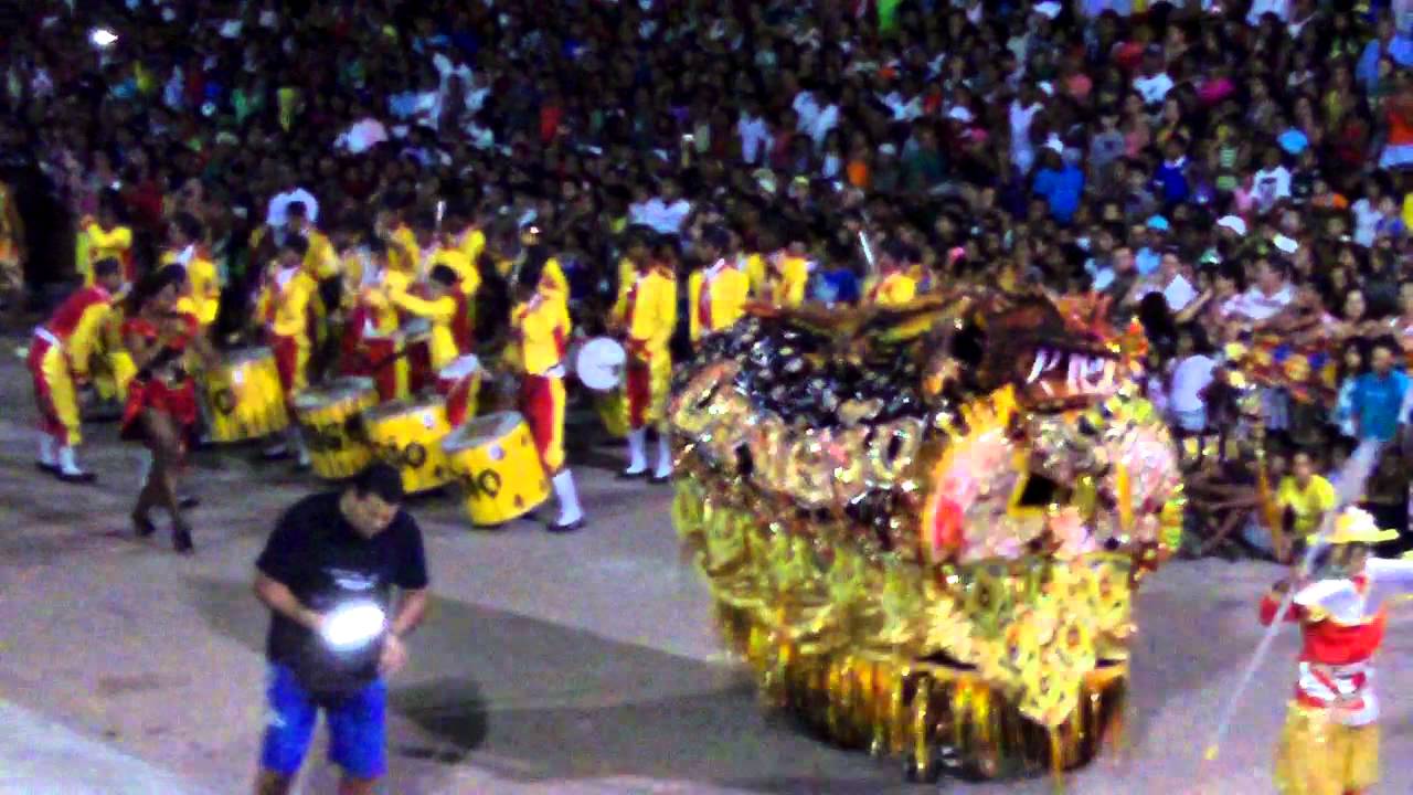 boi de carnaval