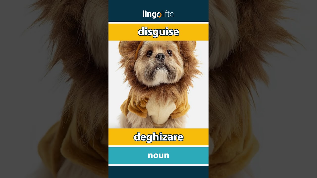 🇬🇧🇷🇴 disguise - deghizare : learn English : să învățăm engleza : vocabulary builder
