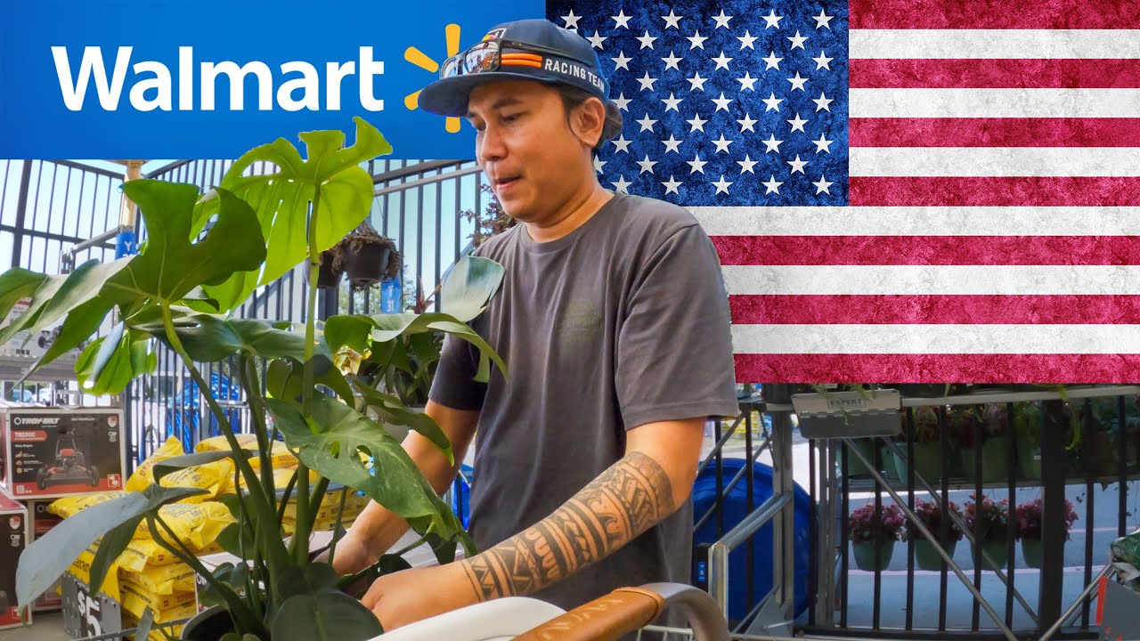 Dali na naman ang Halaman sa Walmart! as a New Immigrant | EB3 Visa Filipino Nurse Experience 🇺🇸🇵🇭